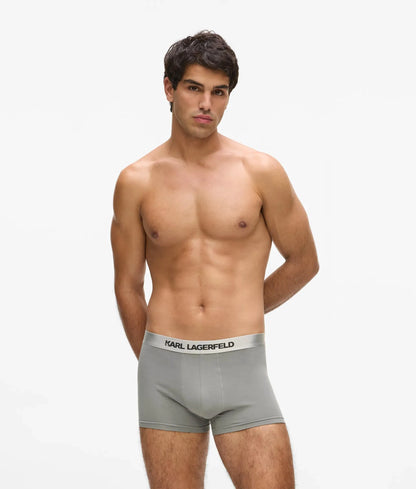 Metallic logo trunks – 3-pack